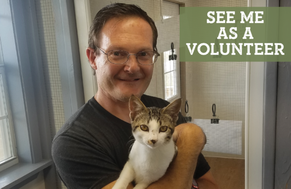 see me as a volunteer